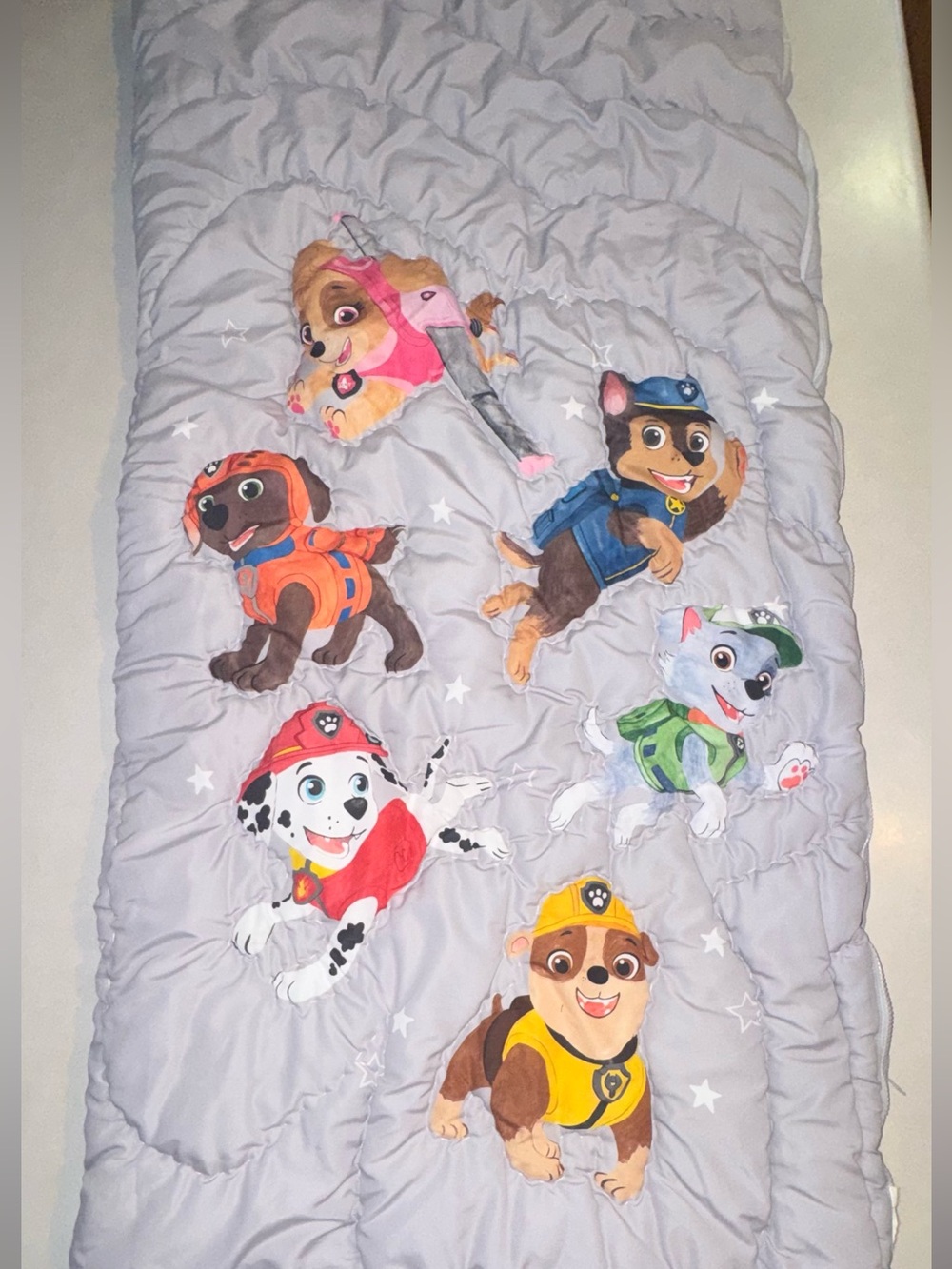 Pottery Barn Kids Paw Patrol Sleeping Bag